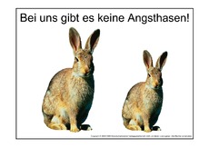 Angsthase-1.pdf